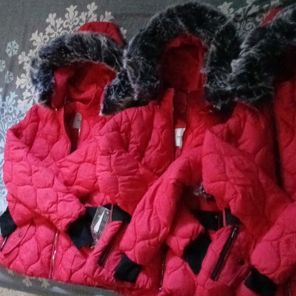 Winter light jacket - Picture 2 of 8